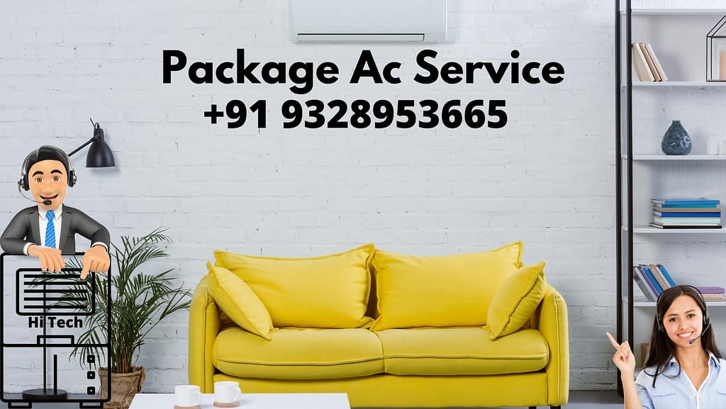 Package ac service